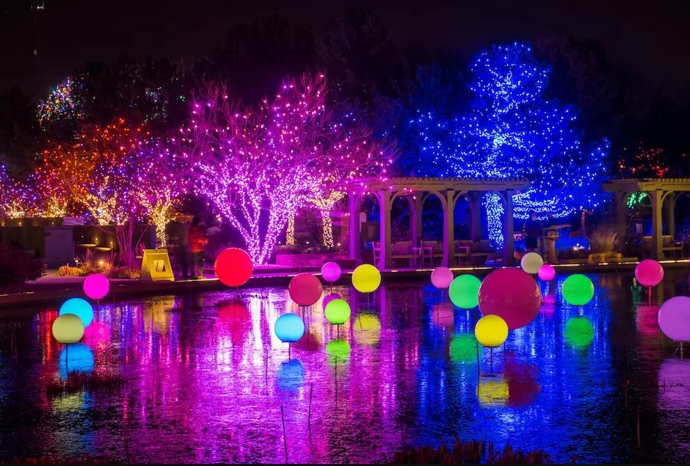 Picture of Denver Botanic Gardens - Blossoms of Light