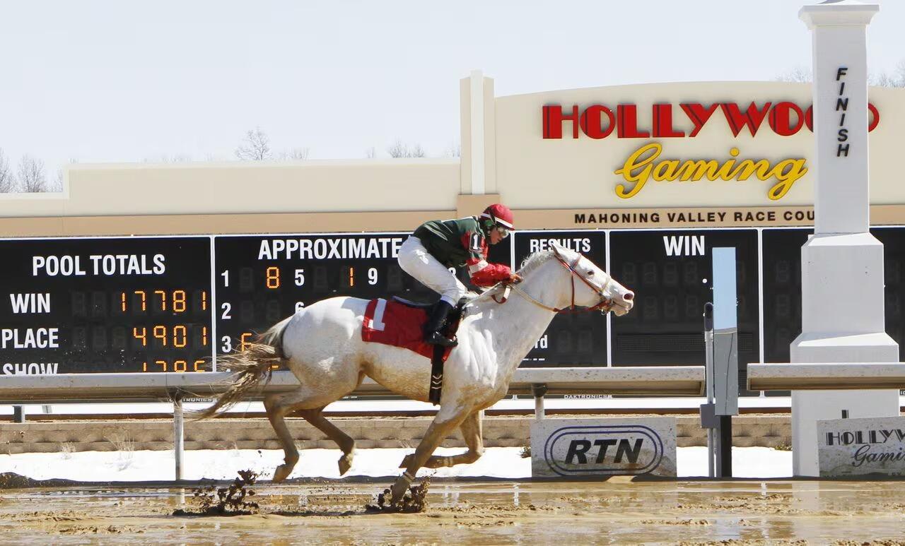 Picture of Hollywood Gaming at Mahoning Valley Race Course
