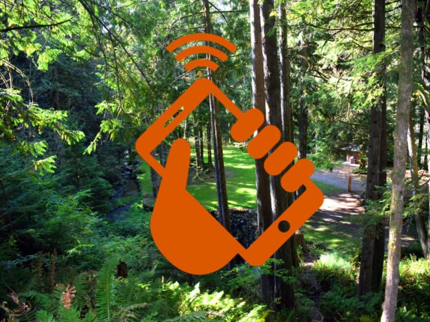 Picture of Cell Service