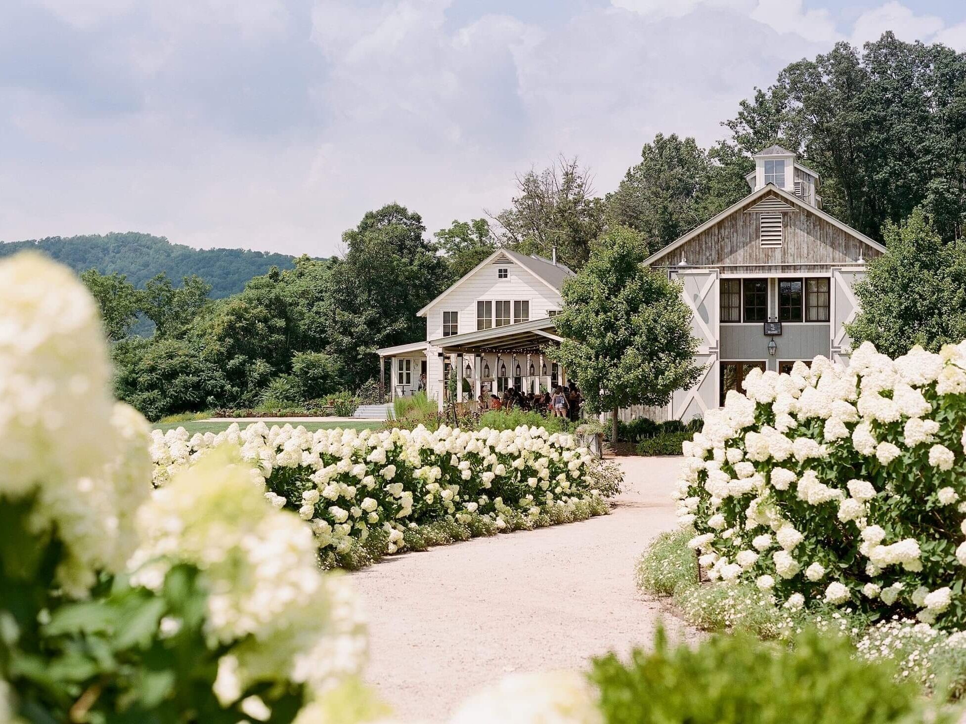 Picture of Pippin Hill Farm & Vineyards