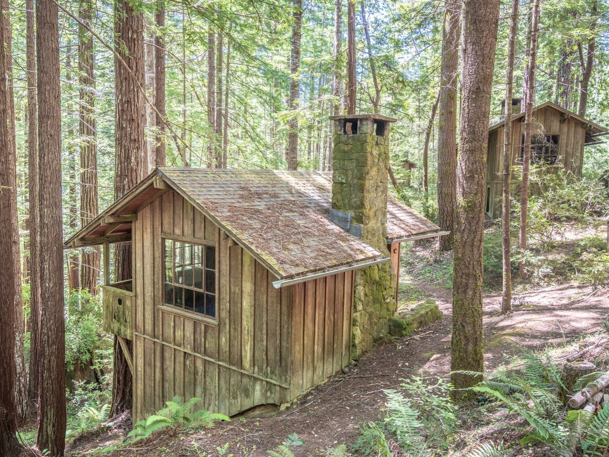 Picture of Mendocino Woodlands Camp Association Camp 1