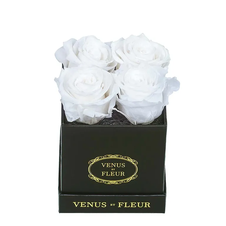Venus et Fleur white forever roses