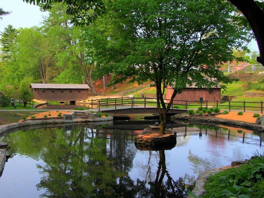 Picture of Stanley Park