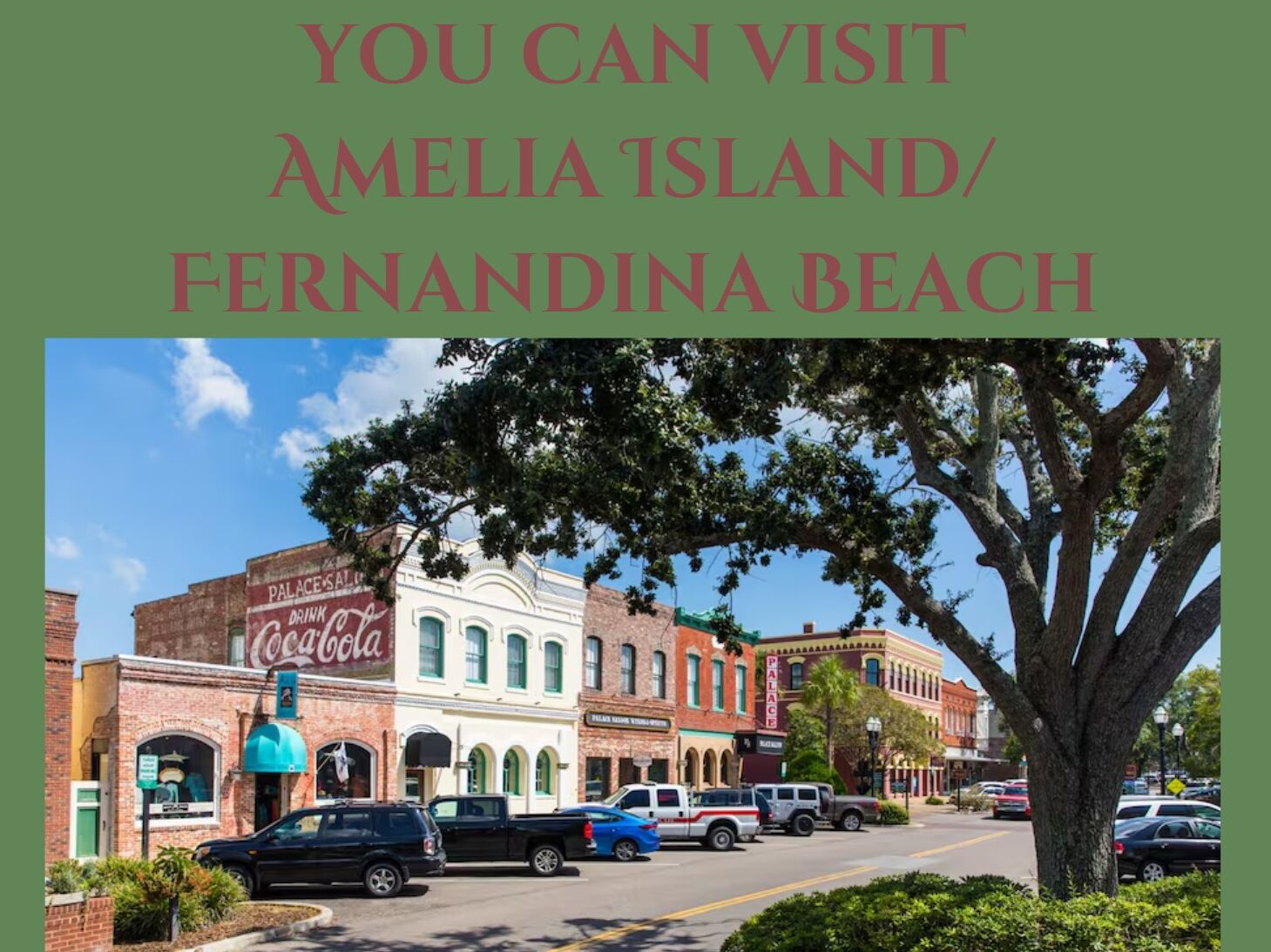 Picture of Amelia Island State Park