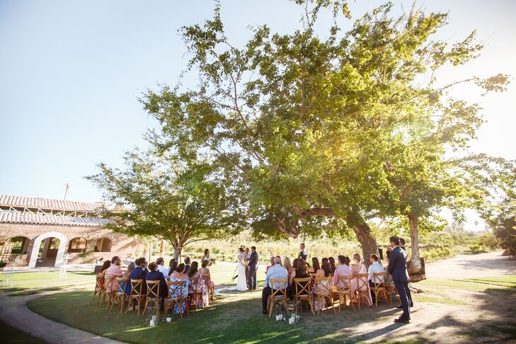 Taylor and Cody exchanged vows under a tree with a sunflower field as their backdrop at Flora Farm in San Jose del Cabo, Mexico.