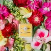 Colorful Wrightsville Manor Wedding in Wilmington, NC