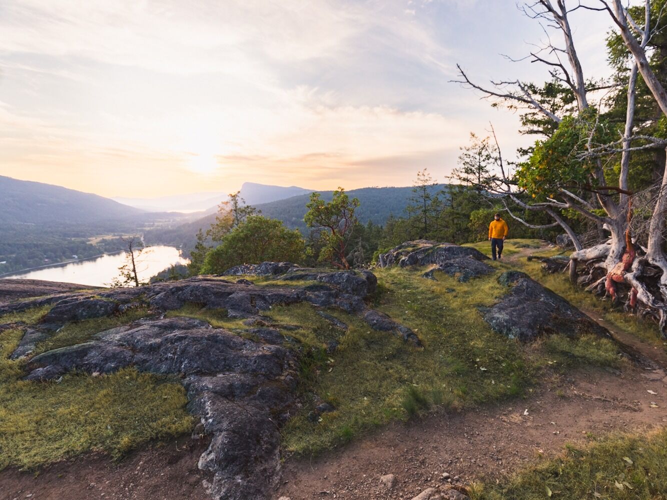 Picture of Reginald Hill park
