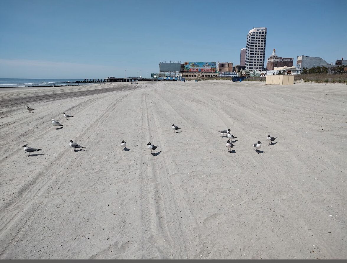 Picture of Atlantic City Boardwalk And Beach