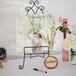 DIY Picture Guestbook