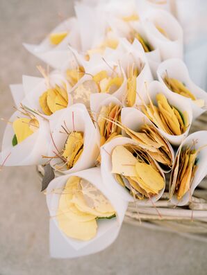 Dried Aspen Leaves for Wedding Exit