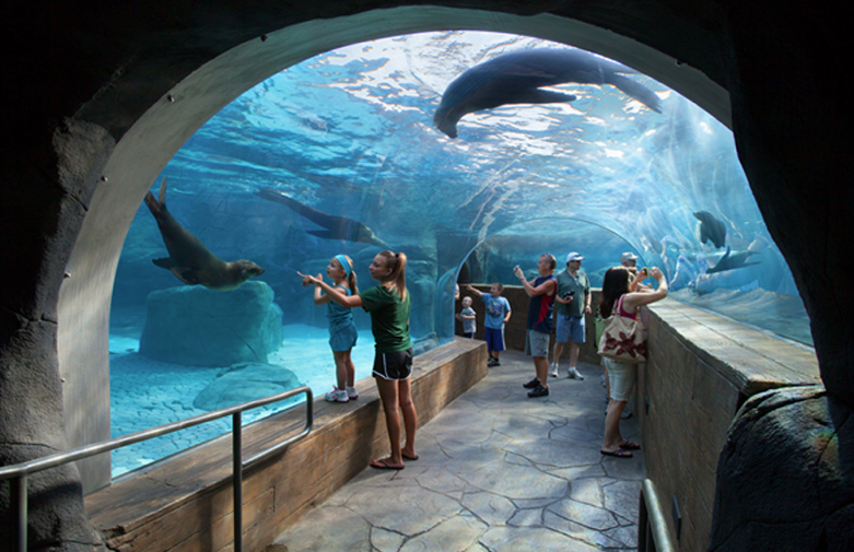 Picture of St. Louis Zoo