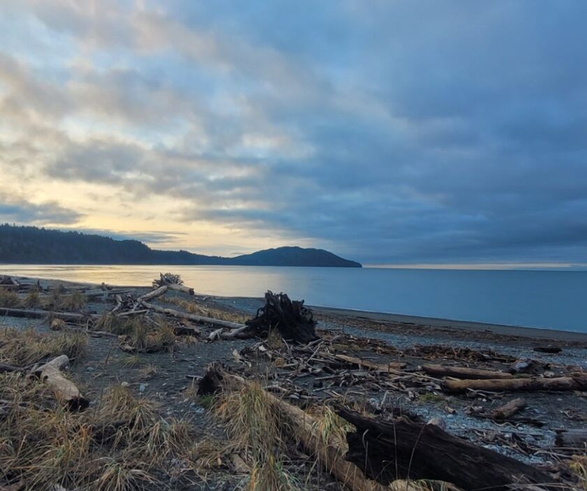 Picture of Mouth Of The Elwha Beach Trailhead