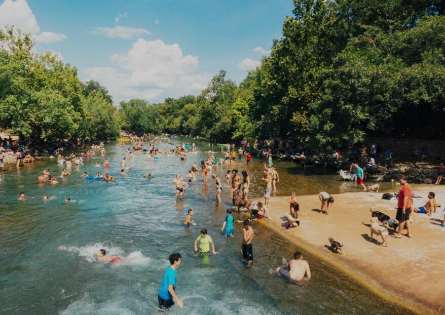 Picture of Dog Barton Springs