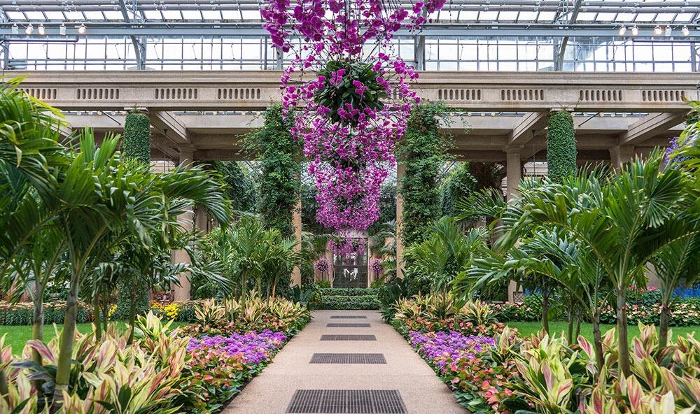 Picture of Longwood Gardens