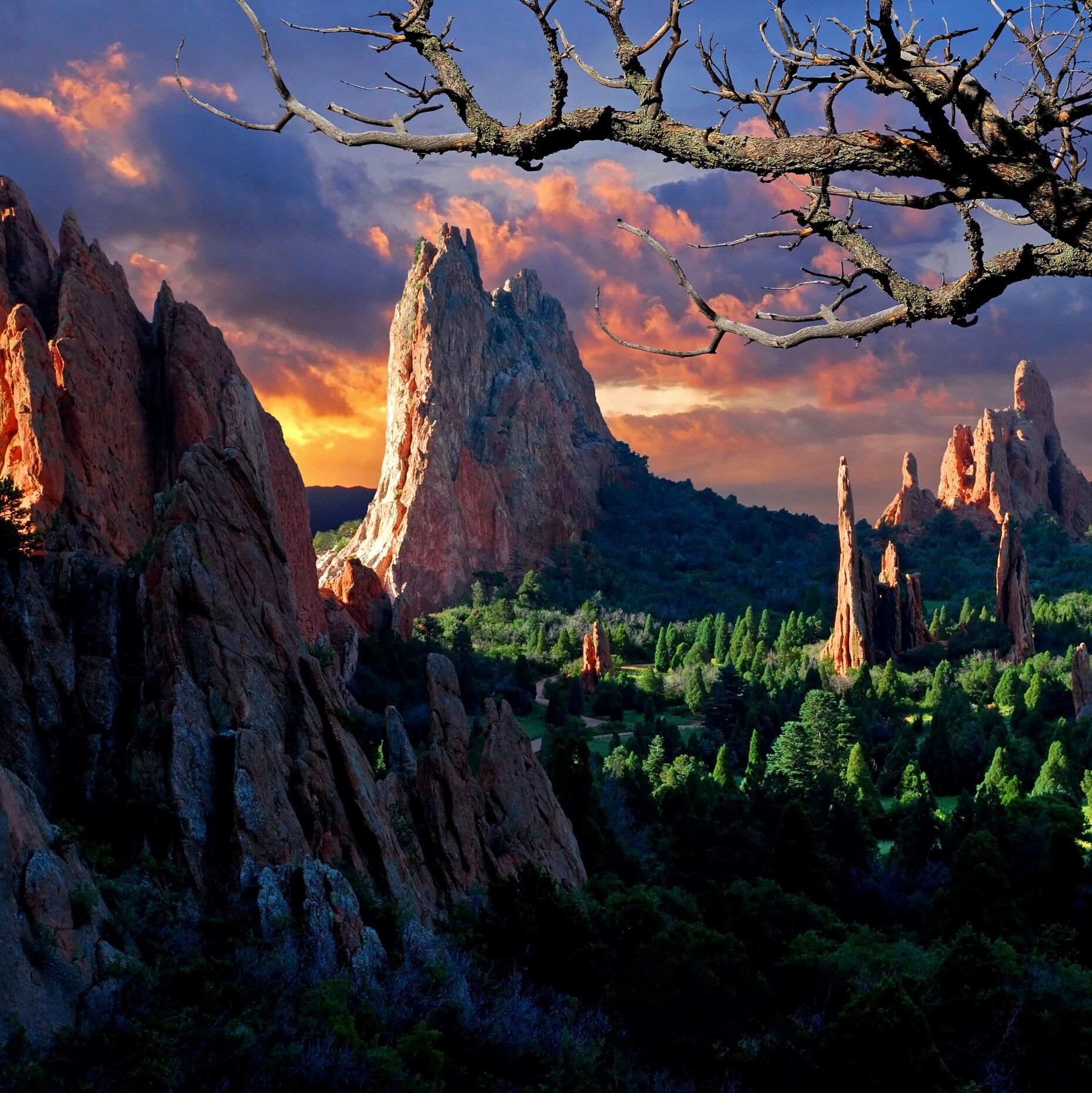 Picture of Garden of the Gods
