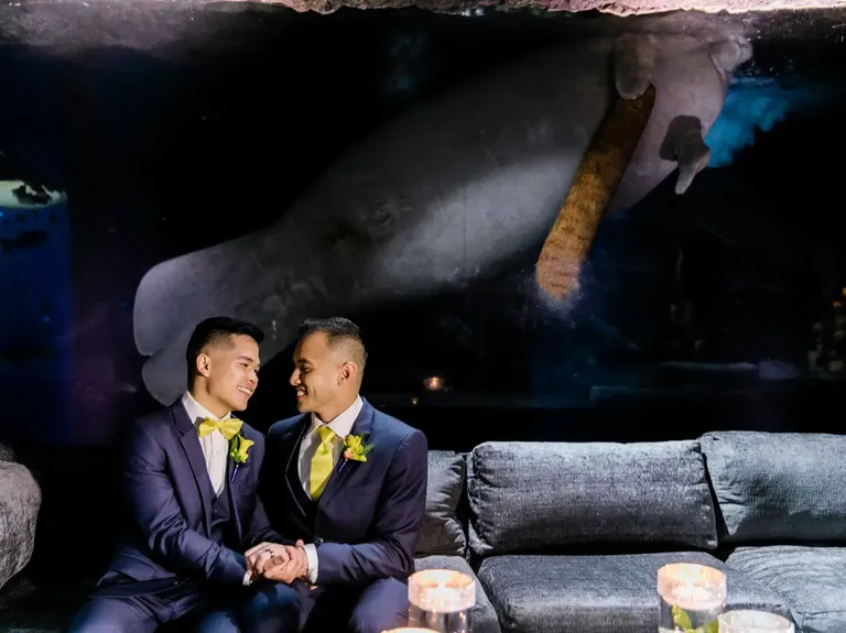 Grooms holding hand on couch in front of glass wall with manatee swimming behind at Dallas World Aquarium wedding venue in Dallas, Texas