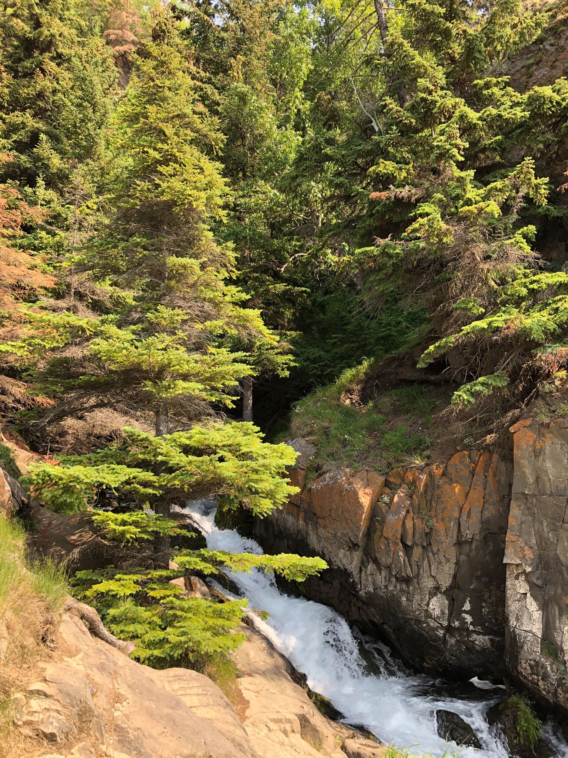 Picture of McHugh Creek Recreation Area