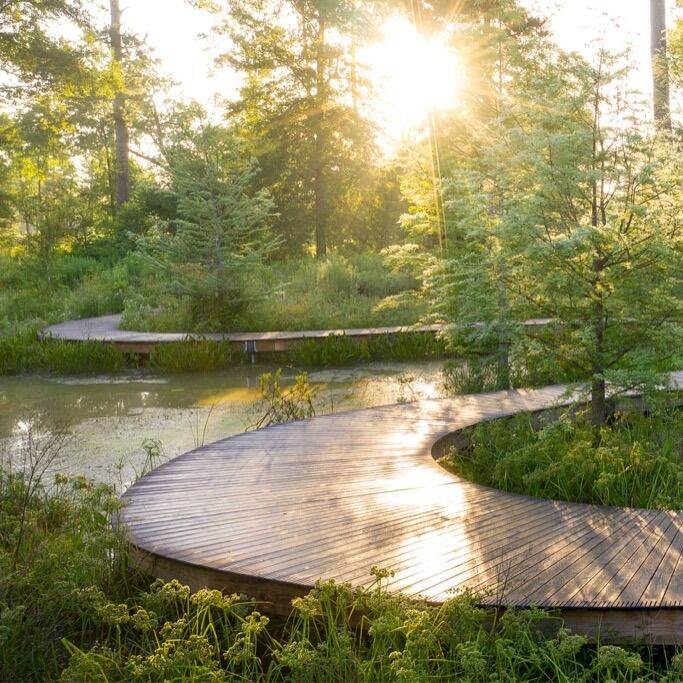 Picture of Houston Arboretum & Nature Center
