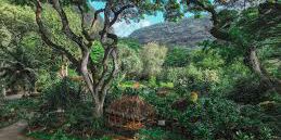 Picture of Hike Waimea Valley