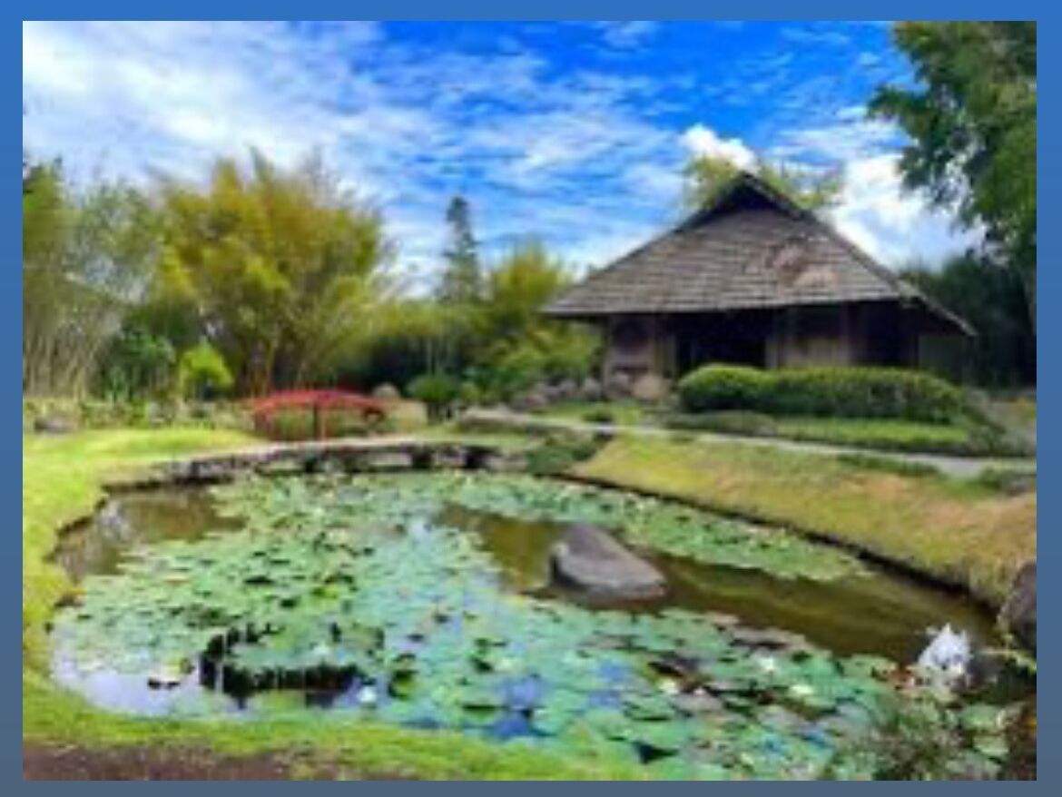 Picture of Jardín Botánico Lankester
