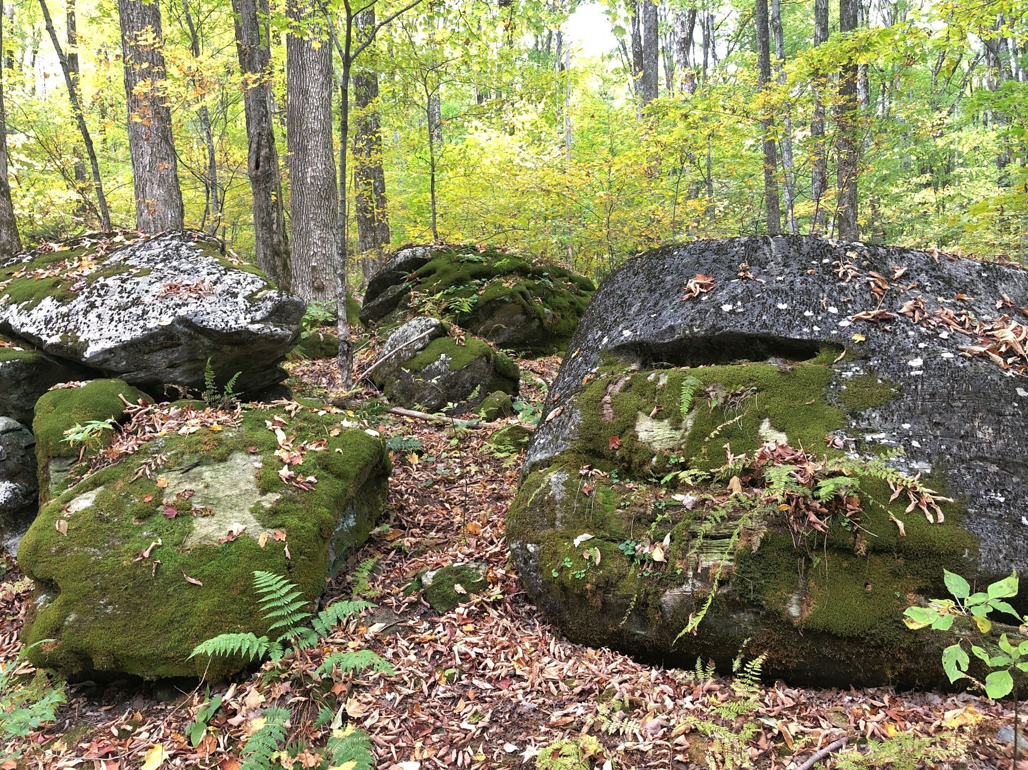 Picture of Hiking Trails