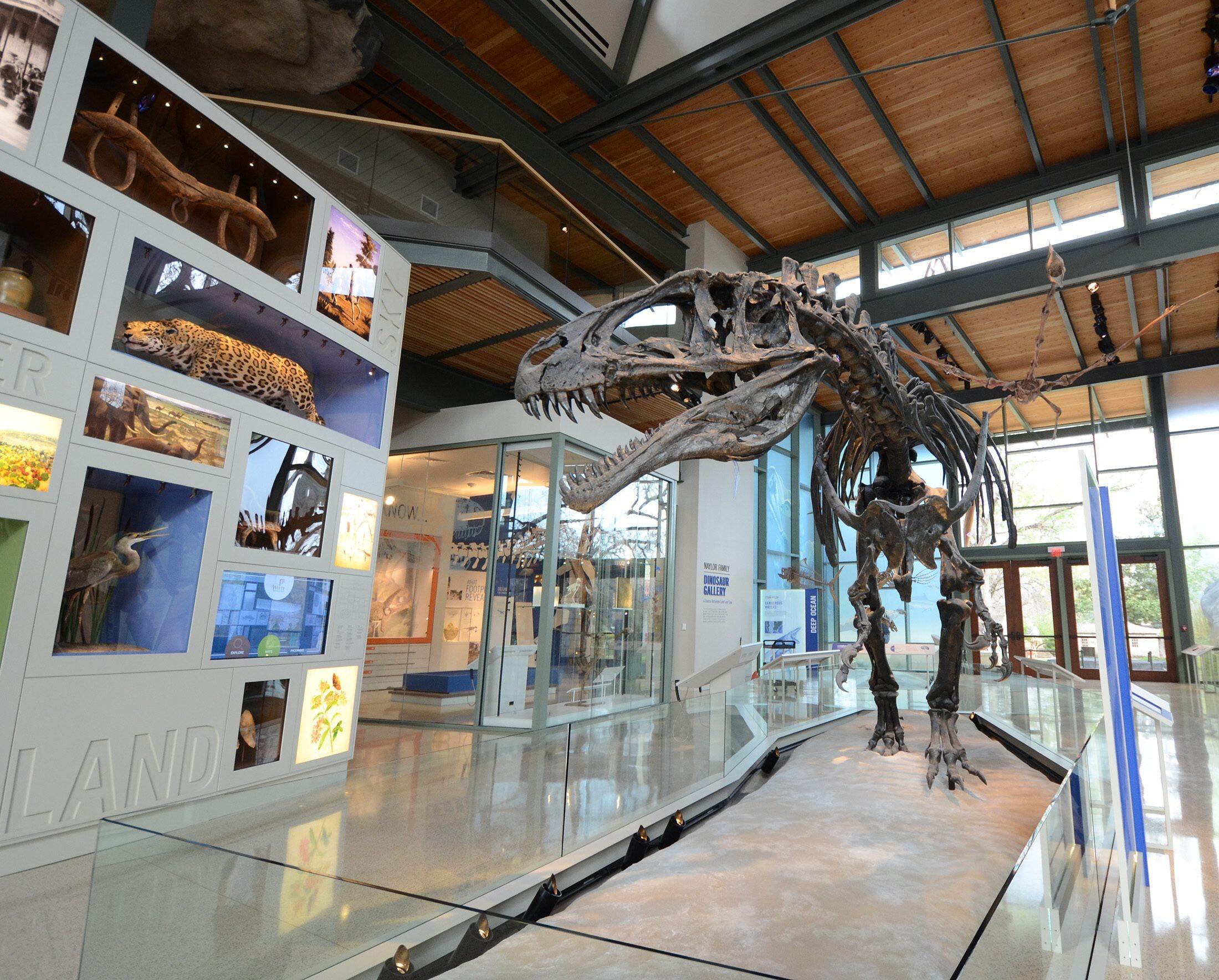 Picture of Witte Museum