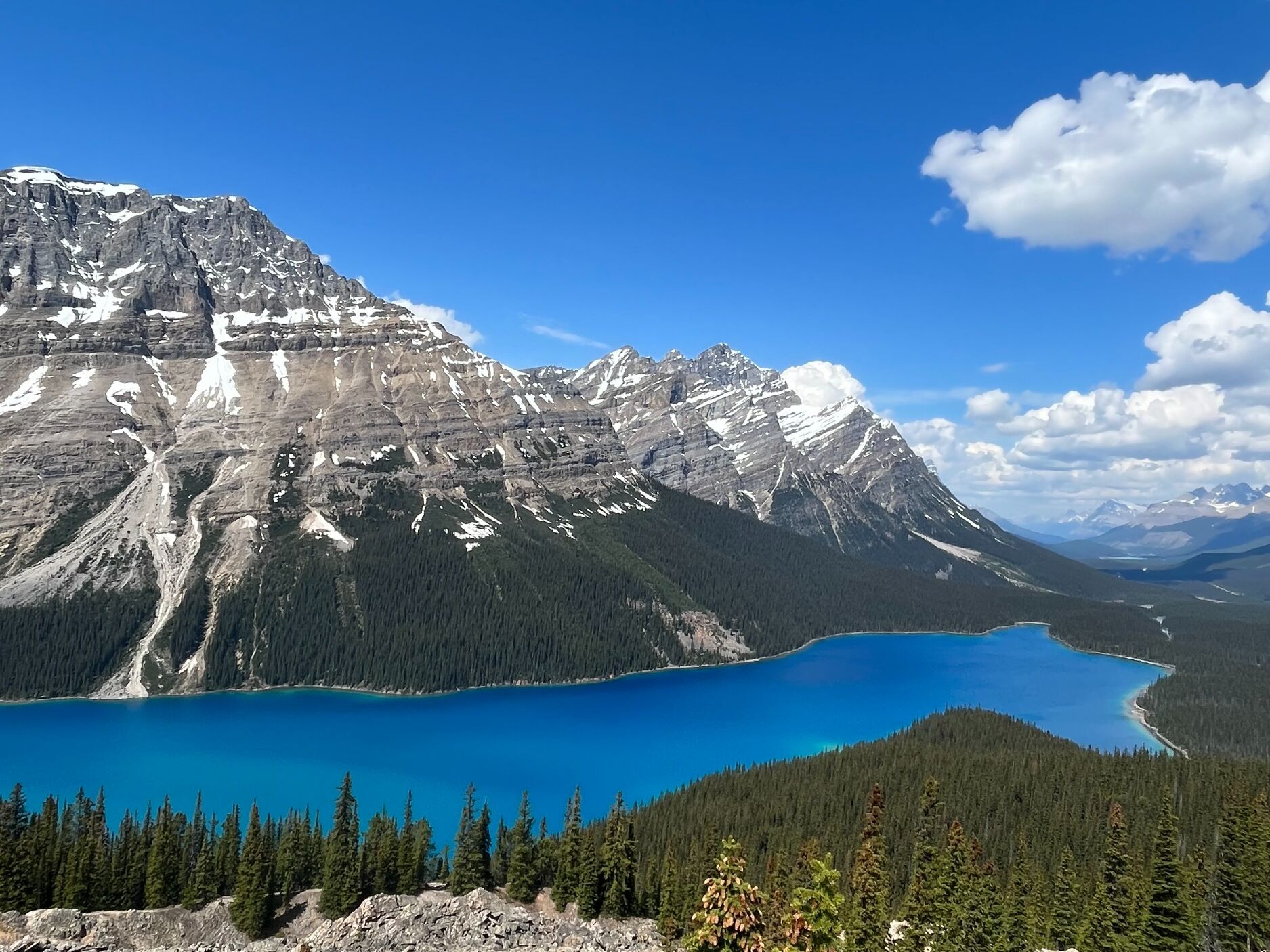 Picture of Peyto Lake