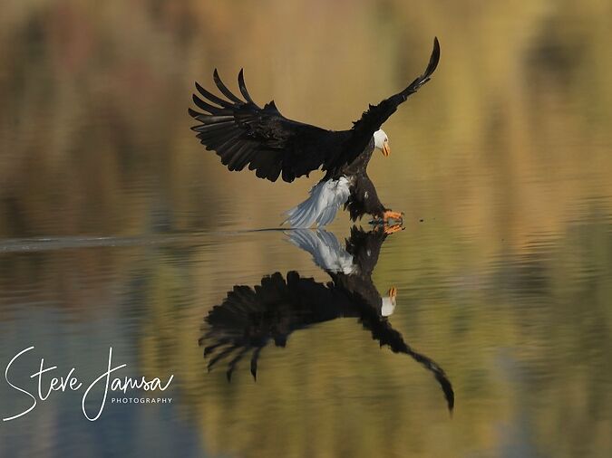 Picture of Kootenai National Wildlife Refuge