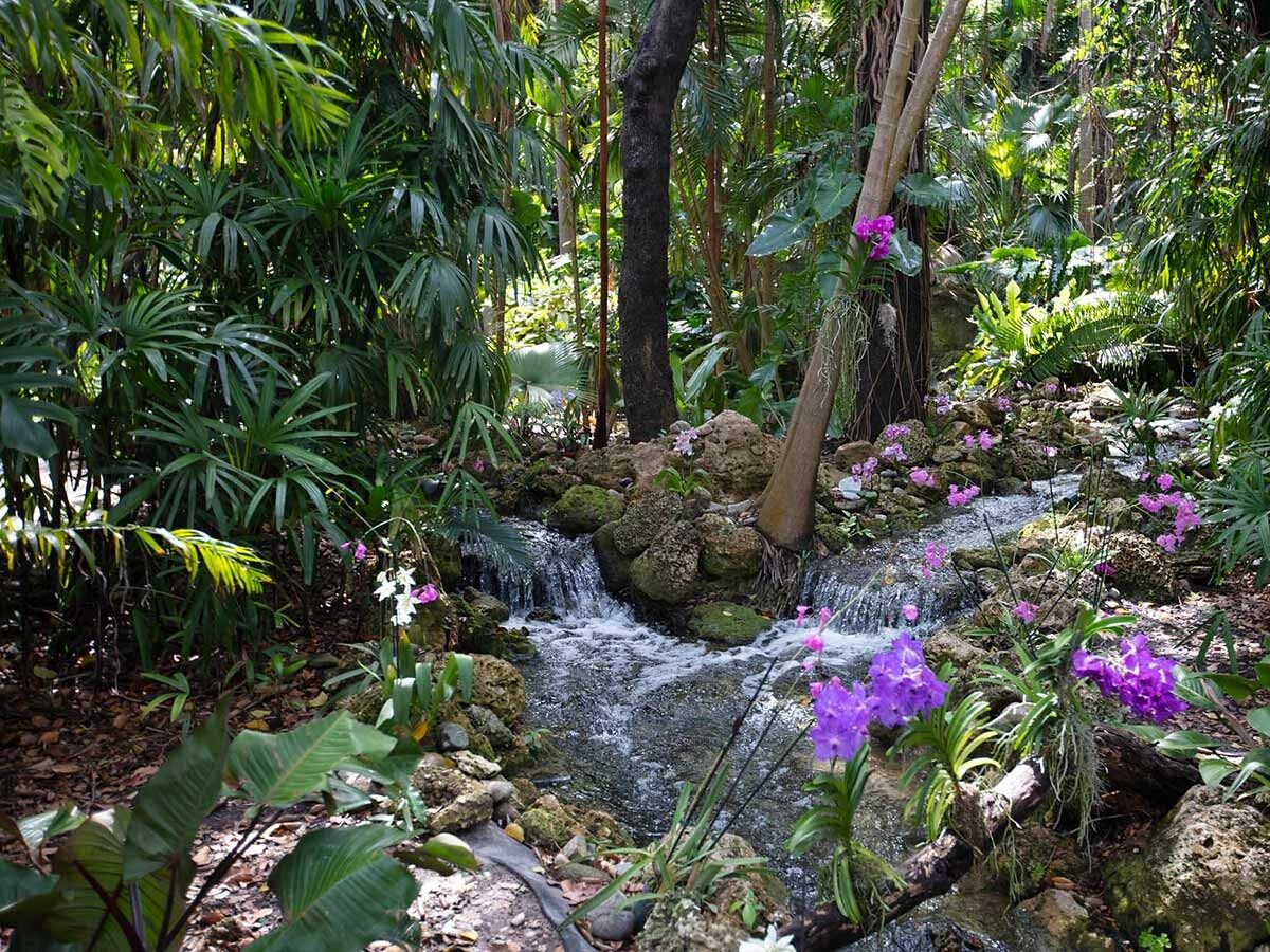 Picture of Fairchild Tropical Botanic Garden
