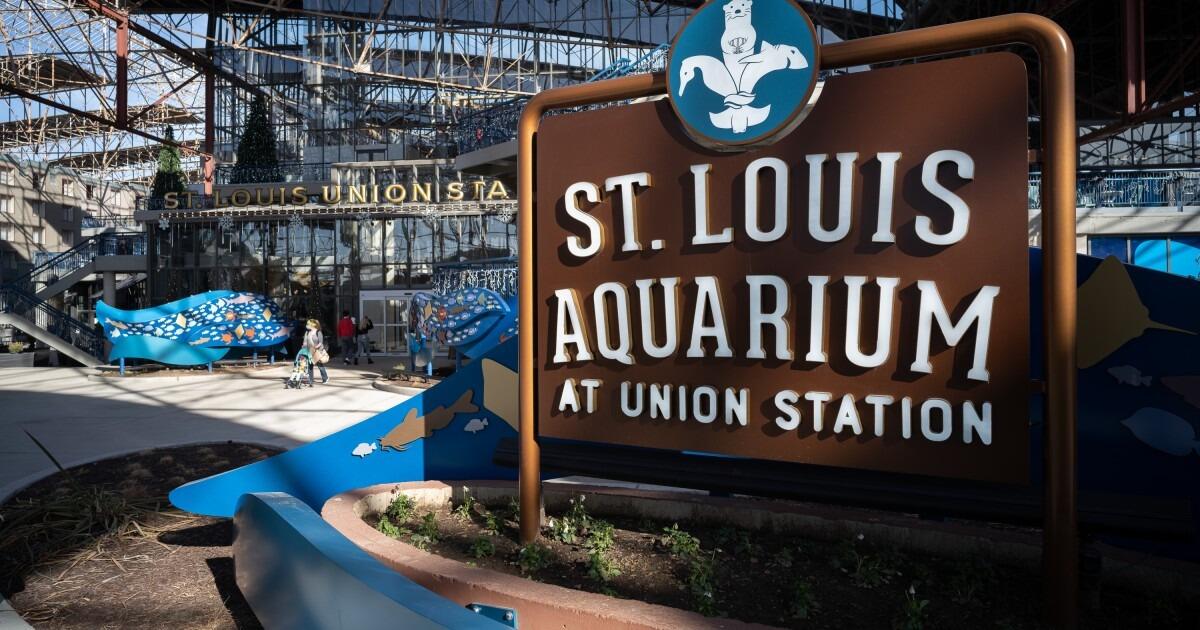 Picture of St. Louis Aquarium at Union Station