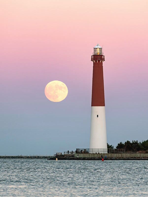 Picture of Barnegat Lighthouse State Park