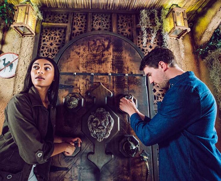 Picture of The Escape Game