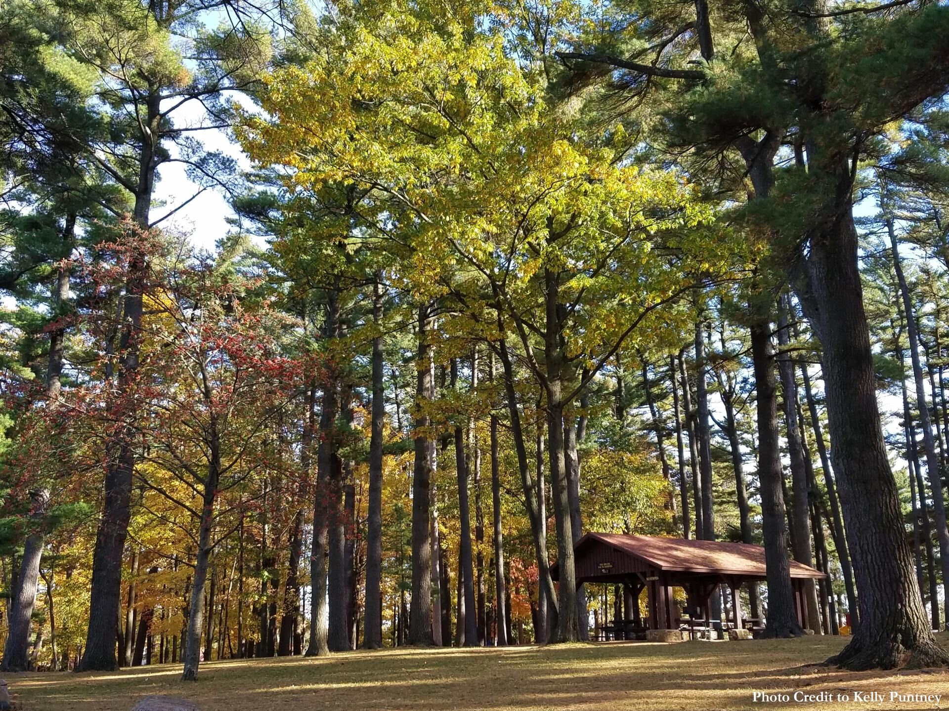 Picture of Marathon County Park