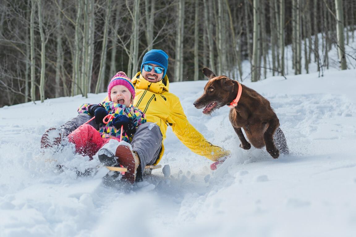 Picture of Sledding