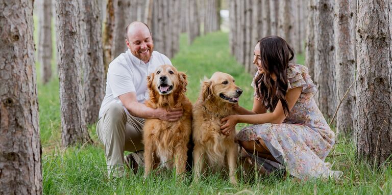 Allie & Ian Home Page Banner