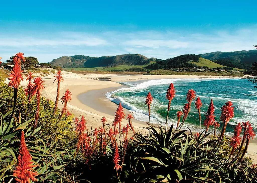 Picture of Carmel