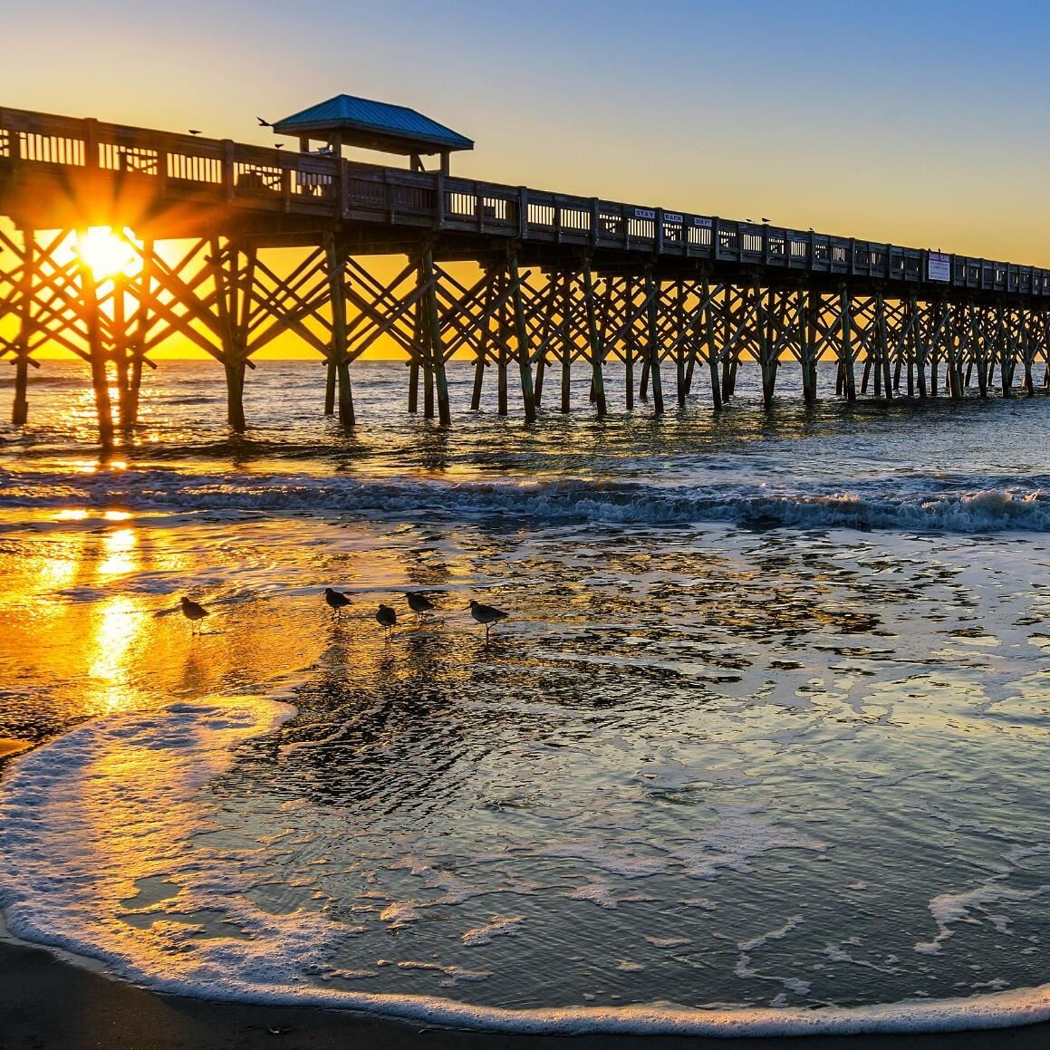 Picture of Folly Beach Pier