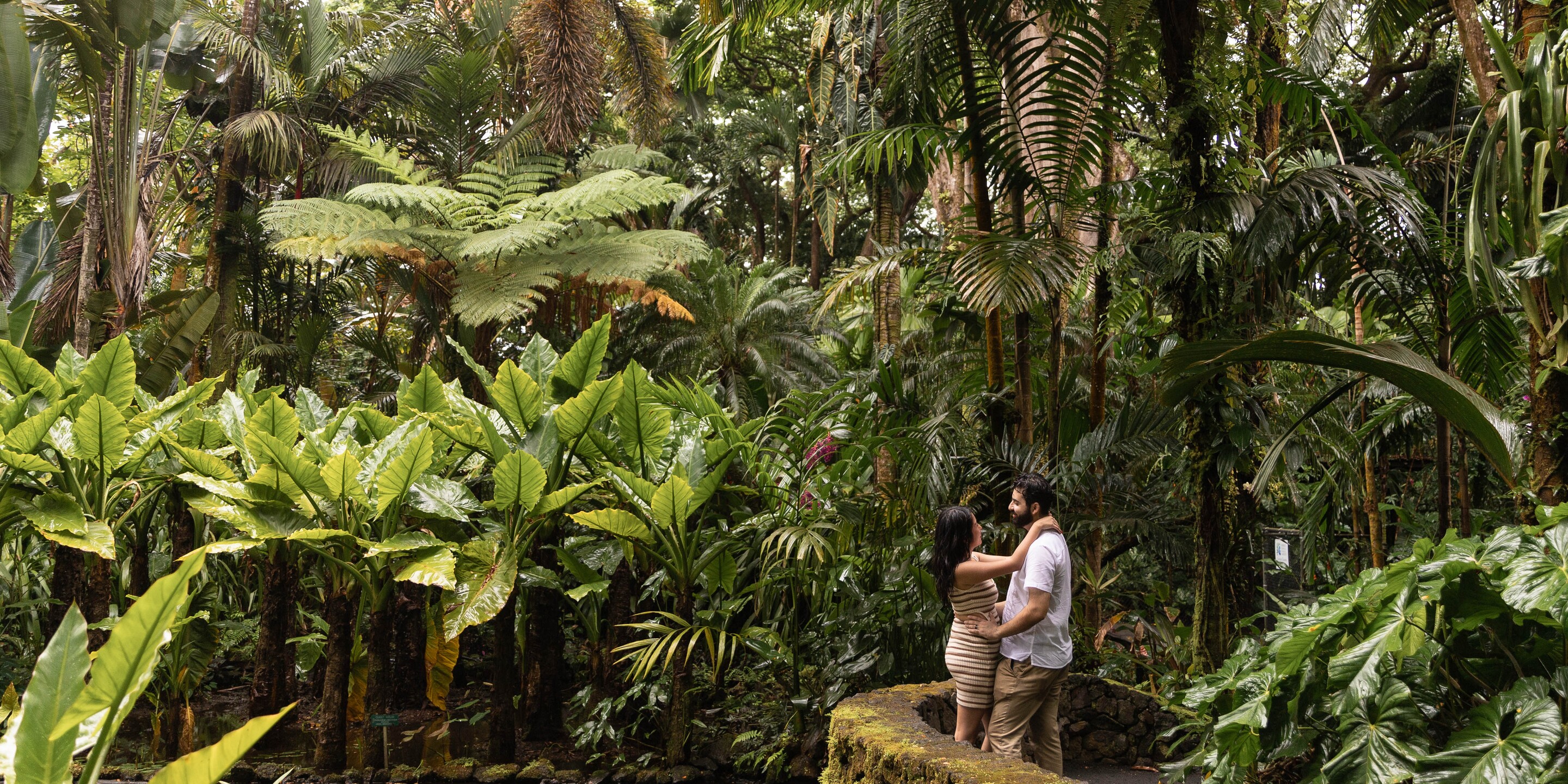 Ashkan & Fernanda Home Page Banner