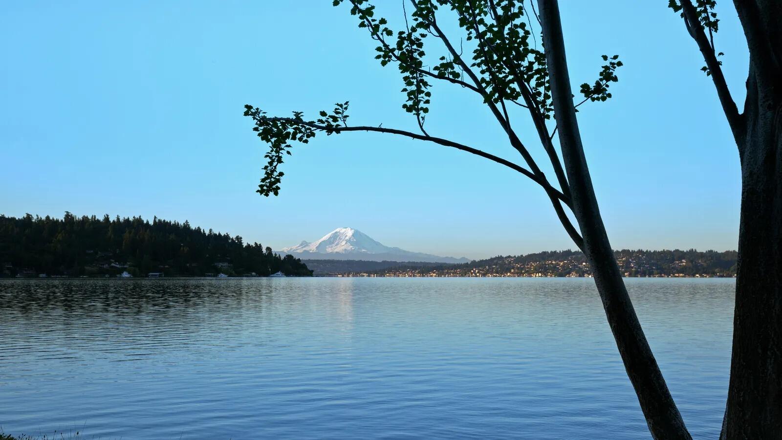 Picture of _
