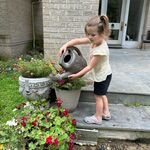 Amelia Roehm