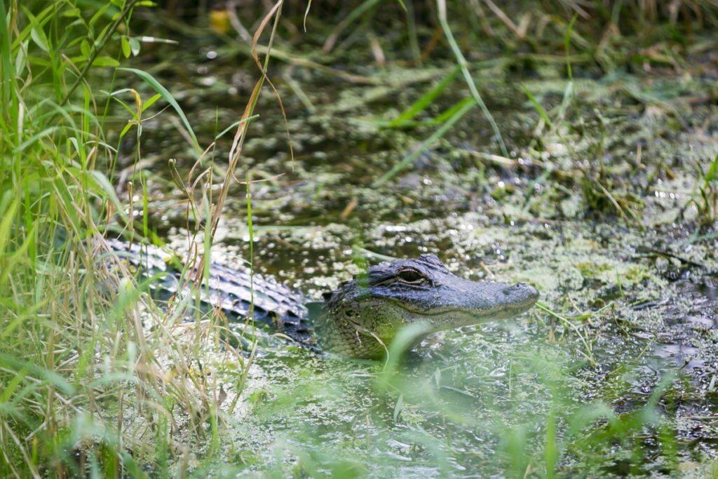 Picture of Circle B Bar Reserve