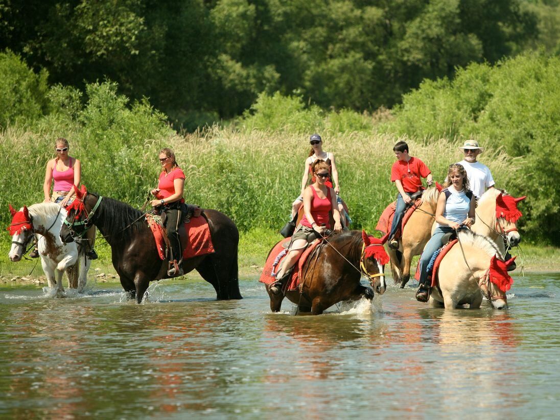 Picture of Conestogo River Horseback Adventures