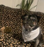 Quincy featuring  Hedgey 
