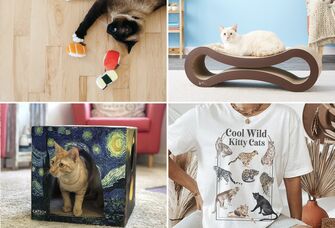 Collage of gift ideas for cat parents