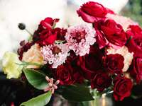 Red roses for valentine's day