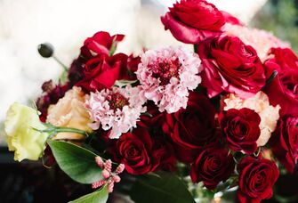 Red roses for valentine's day