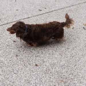 Gallery Photo 54