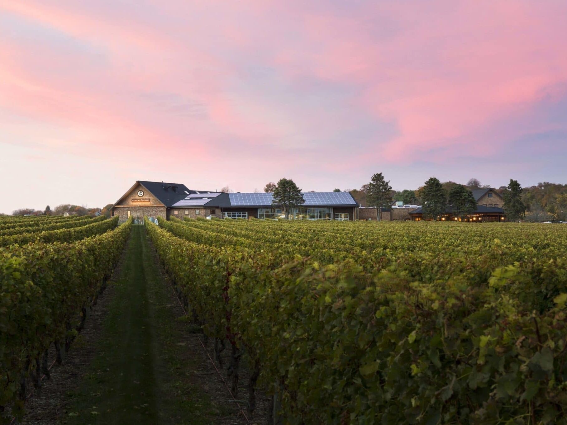 Picture of Newport Vineyards