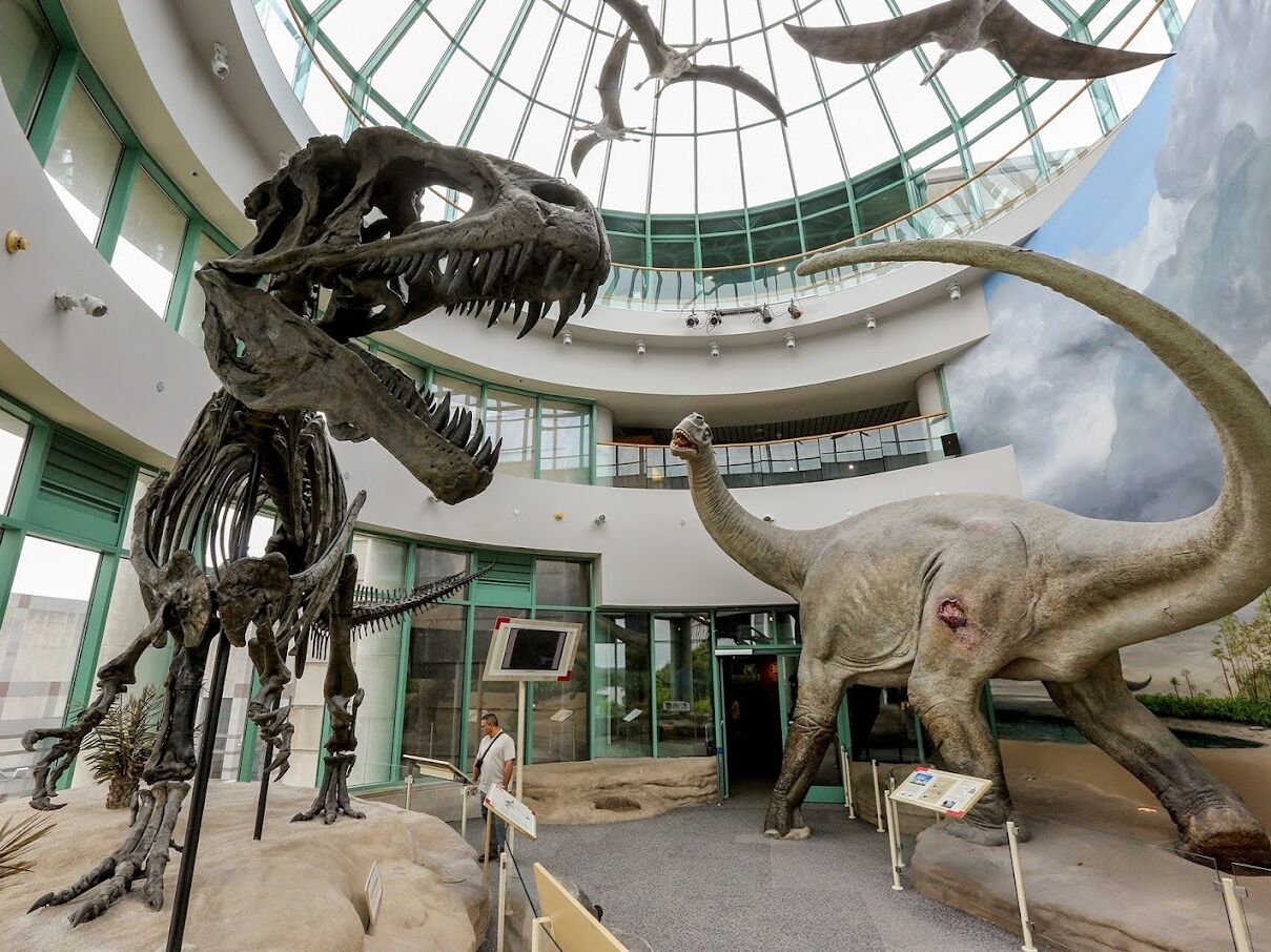 Picture of Check out the Museums in Downtown Raleigh (Free)