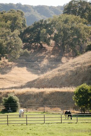 Alisal Guest Ranch and Resort
